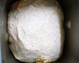 ヨーグルト入りクルミ・レーズンの胚芽パン作り方6写真