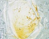 元ハンバーグ職人のラム肉の柔らかステーキ作り方16写真