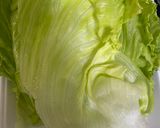 【遊び心広がるレピ】レタスのロール巻き！作り方1写真