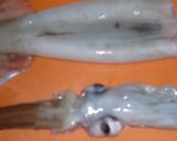 生食イカから塩からにする方法作り方1写真