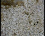 フライパン焼きなす作り方12写真