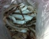 いか下足の塩唐揚げ作り方2写真