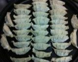 シャキッとギョーザ＼(^o^)／作り方22写真