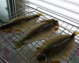 鮎の一昼干し作り方4写真