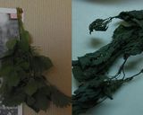 大葉＆玄米のお塩作り方1写真