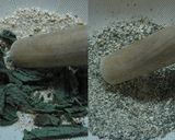 大葉＆玄米のお塩作り方4写真
