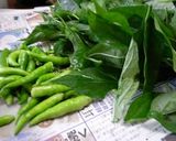 葉とうがらしの佃煮作り方2写真