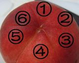 超らくらく♪桃の剥き方作り方2写真