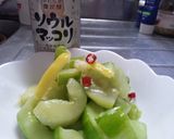 ピリッ！と辛いレモン風味の白瓜漬け作り方4写真