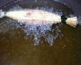 揚納豆作り方7写真