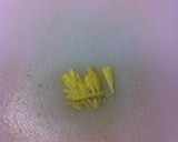 きゅうりと野菜の浅漬け♡中華風作り方4写真
