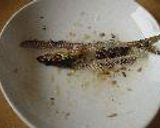 さんまの塩焼き*フライパンで作り方6写真