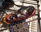 焼きなす　超簡単作り方2写真