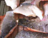 鮭カマ（あら）で自家製西京漬け作り方1写真