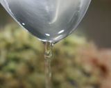 鶏と茄子のハンバーグ作り方30写真