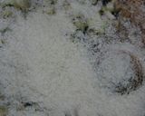 鶏と茄子のハンバーグ作り方31写真