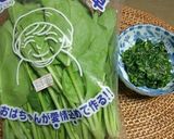 モロヘイヤとほうれん草のおひたし作り方1写真