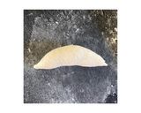 塩パン作り方4写真