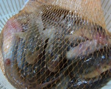 ハゼのデカデカかき揚げ冷やしうどん作り方2写真