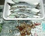 真イワシ、カタクチイワシの刺身作り方2写真