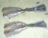 真イワシ、カタクチイワシの刺身作り方6写真