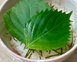 鳥取発♡コリコリ甘みの白イカ漬け茶漬け♪作り方5写真