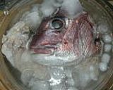 ゴボウたっぷり真鯛の兜煮作り方1写真