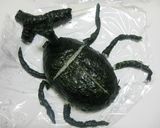 カブトムシとクワガタのデコカレー作り方1写真