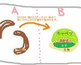 エリンコ家のたぶん広島風お好み焼き☆作り方3写真