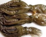 タコの辛子酢味噌♪(タコのさばき方)作り方6写真