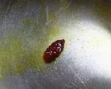 秋味たると。作り方5写真