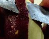 秋味たると。作り方7写真