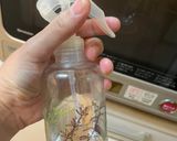 ミニフランスパン　90分以内に焼き上がる作り方10写真