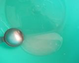 低カロ☆ラスク風食パンスイーツ作り方2写真