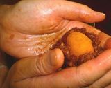 かぼちゃ餡の味噌おはぎ作り方6写真