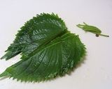 野菜スティックの梅マヨ海苔巻き作り方4写真