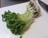 野菜スティックの梅マヨ海苔巻き作り方5写真