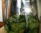 きゅうりの酢の物作り方6写真