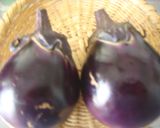 ☆ふかしなす☆信州の丸なすで作り方1写真