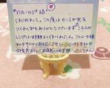 ☆白菜と塩昆布蒸し☆作り方7写真