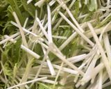 10分で簡単！油揚げと水菜のハリハリ煮😋作り方4写真