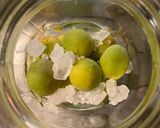 ドライな梅酒の作り方　容器2リットル作り方5写真