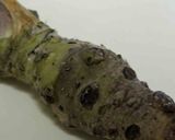 あげだし豆腐蕎麦作り方5写真