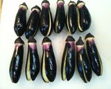 小ナスの冷製作り方1写真