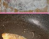 すごくおいしい！ハーブが薫るサーモンムニエルのタルタル添え（タマネギぬきで～＾＾）作り方4写真