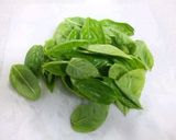 これもあり！？食べるバジル油作り方3写真