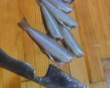 魚 鱚 刺身 キスのさばき方と昆布酒締め作り方4写真