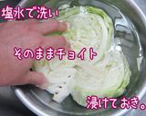身体お目覚め【ポリパリさっぱりキャベツ】作り方3写真