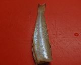 ~キスのさばき方~**キスの天ぷら~**作り方10写真