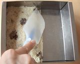 縄文しっとりおこし作り方7写真
